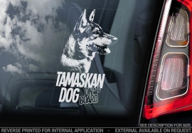 Tamaskan Dog - V01