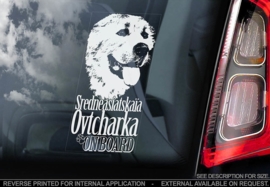 Centraal-Aziatische owcharka - Central Asian Shepherd - Sredneasiatskaïa Ovtcharka V01