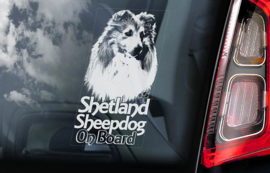 Shetland Sheepdog V02 - Sheltie V04