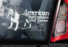 American Stafforshire Terrier  V08