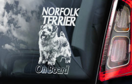 Norfolk Terrier V01