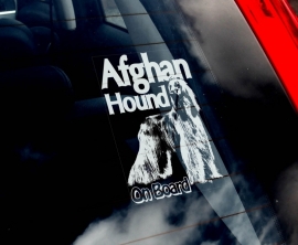 Afghaanse Windhond - Afghan Hound V01