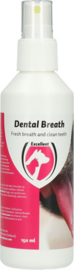 Dental Breath