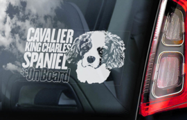 Cavelier King Charles Spaniel V06