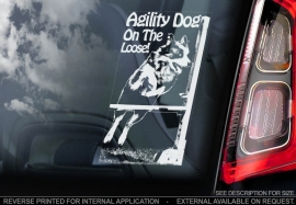 Agility dog on the loose V01