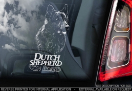 Hollandse Herder - Dutch Shepherd - V02