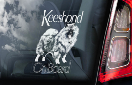 Keeshond V01