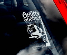 Agility Shelties V01