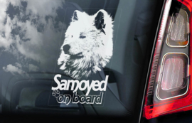 Samojeed - Samoyed V02