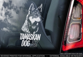 Tamaskan Dog - V02