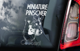 Dwerg Pinscher - Miniature Pinscher V01