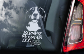 Berner Sennenhond - Bernese Mountain Dog V02