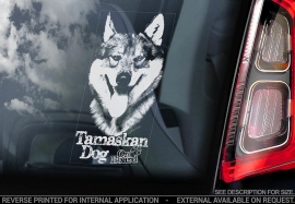 Tamaskan Dog - V03