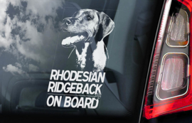 Rhodesian Ridgeback V01