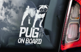 Mopshond - Pug Dog V01