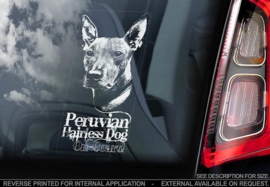 Peruaanse Naakthond  - Perro Sin Pelo del Peru - Peruvian Hairless Dog V01