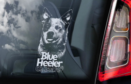 Australian Cattle Dog - Blue Heeler V01
