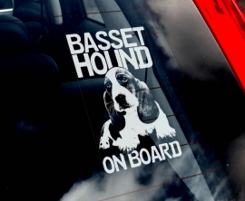 Basset Hound V01
