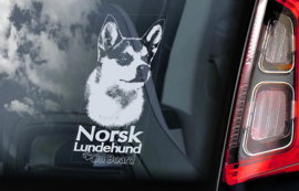 Norsk Lundehund V02