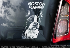 Boston Terrier V01
