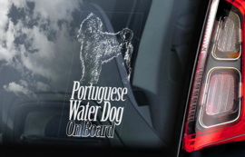 Portugese Waterhond - Portuguese Water Dog V01