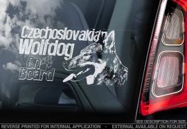 Tsjechoslowaakse Wolfhond - Czechoslovakian Wolfdog V09