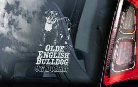 Olde English Bulldog V02