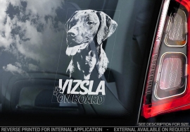 Vizsla V02