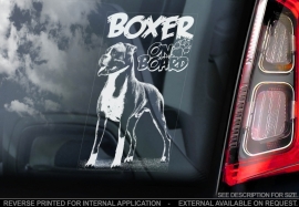 Boxer V02