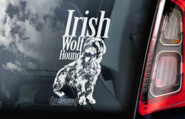 Ierse Wolfshond  - Irish Wolf Hound V01