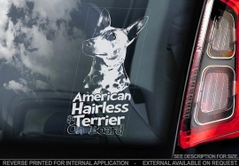 Amerikaanse Naakthond - American Hairless Terrier V01