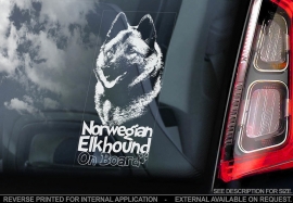 Noorse Elandhond - Norwegian Elkhound V2