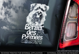 Pyreneese Herdershond  - Berger de Pyrenese - Pyrenean Shepherd  V04