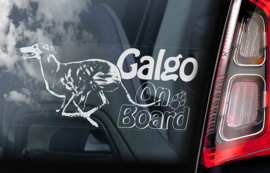 Galgo V04