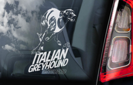 Italiaans Windhondje - Italian Greyhound V03