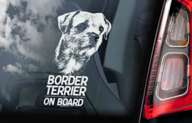Border Terrier V01