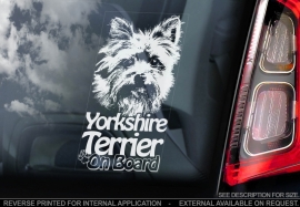 Yorkshire Terrier V03
