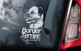 Border Terrier V03