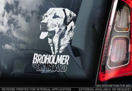 Broholmer V01