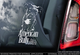 American Bully V03