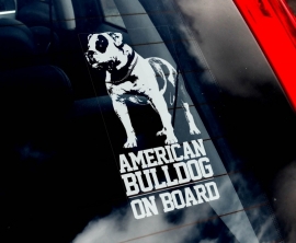 Amerikaanse Bulldog V01