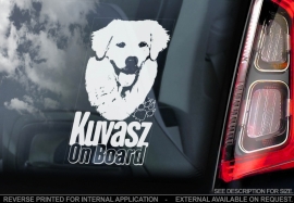 Kuvasz V01