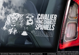 Cavelier King Charles Spaniel V05