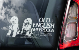 Old English Sheepdog -  Bobtail V02