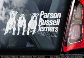 Parson Russel Terrier V02