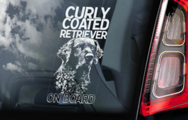Curly Coated Retriever V01