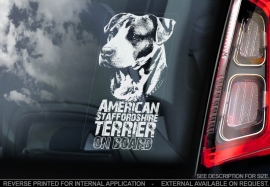 American Staffordshire Terrier V01