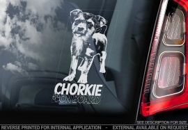 Chorkie - V01