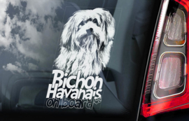 Havanezer - Bichon Havanais -   Havanese V01