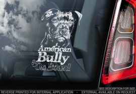 American Bully V01